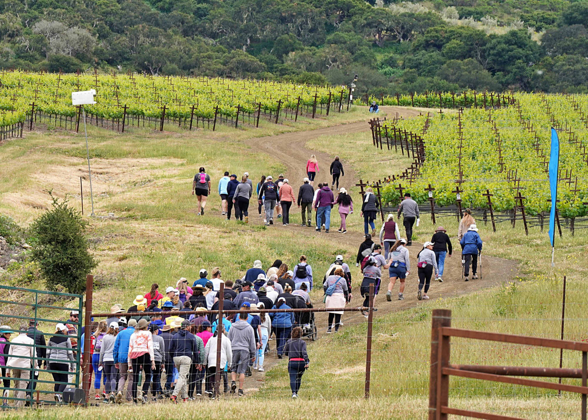 Peace of Mind Walk 2025