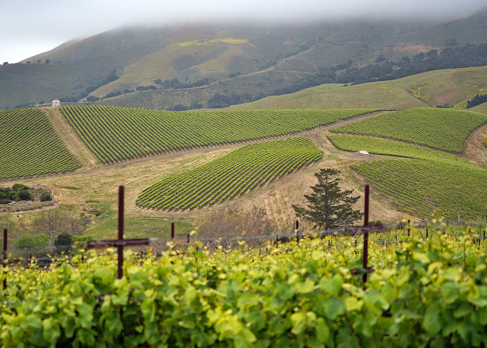 Peace of Mind Walk Hills